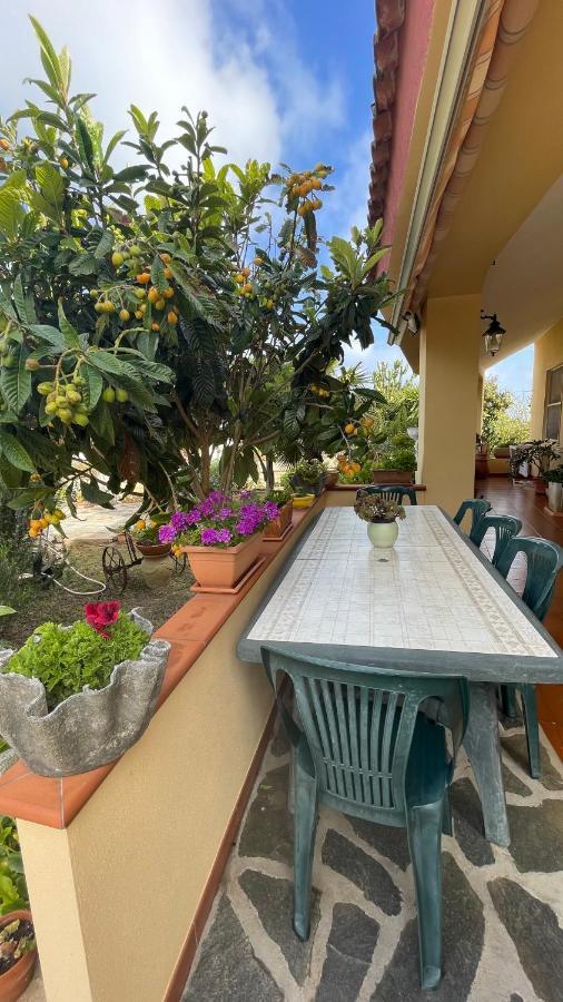 Bed and Breakfast La Mansarda à Biancareddu Extérieur photo